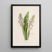 Sertum orchidaceum Une couronne des plus belles fleurs orchidées Pl42 - John Lindley — ingelijst kunstwerk aan de muur