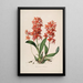 Sertum orchidaceum Une couronne des plus belles fleurs orchidées Pl45 - John Lindley | Reproduction — ingelijst kunstwerk aan de muur