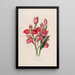 Sertum orchidaceum Une couronne des plus belles fleurs orchidées Pl49 - John Lindley — ingelijst kunstwerk aan de muur
