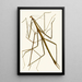 The Oriental Entomology Cabinet Pl XXXIII - John Obadiah Westwood — framed artwork on a wall