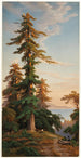 Sequoia's Santa Cruz Mts Cal - John Ross Key — weergave van het kunstwerk