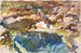 Man en zwembad, Florida - John Singer Sargent — weergave van het kunstwerk
