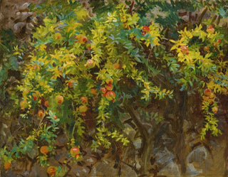 John Singer Sargent - Pomegranates Majorca.webp