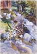 Ruisseau impétueux - John Singer Sargent — weergave van het kunstwerk