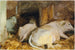 Drie runderen - John Singer Sargent — weergave van het kunstwerk
