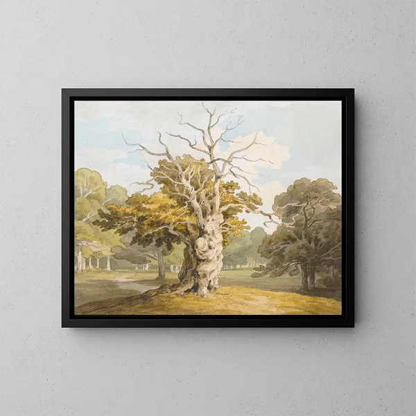 van een eik bij Kedleston Hall, Derbyshire - John White Abbott — ingelijst kunstwerk aan de muur