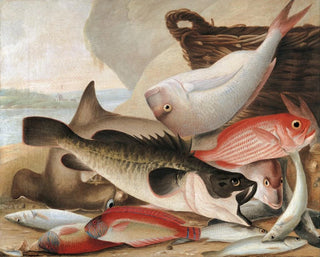 John William Lewin - Fish catch and Dawes Point Sydney Harbour.webp