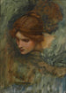 Studie voor het hoofd van Venus in De Wakker van Adonis - John William Waterhouse — weergave van het kunstwerk