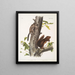 Sciurus Fremonsii Eekhoorn van Fremont Natuurlijke grootte 2 Sciurus fuliginosus Eekhoorn fuligineux Natuurlijke grootte - John Woodhouse Audubon — ingelijst kunstwerk aan de muur