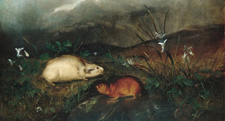 John Woodhouse Audubon - Hudsons Bay Lemming.webp