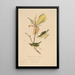 Paruline à ailes dorées du Kentucky - John Woodhouse Audubon — ingelijst kunstwerk aan de muur