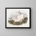 van de Amerikaanse haas, natuurlijke grootte, winter - John Woodhouse Audubon — ingelijst kunstwerk aan de muur