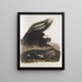 Mephitis Americana Mouffette américaine commune Taille naturelle Femelle - John Woodhouse Audubon — ingelijst kunstwerk aan de muur