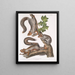 Sciurus migratorius Eekhoorn migratorus Natuurlijke grootte 1 Oude man 2 Vrouwtjes 3 Jonge dieren - John Woodhouse Audubon — ingelijst kunstwerk aan de muur
