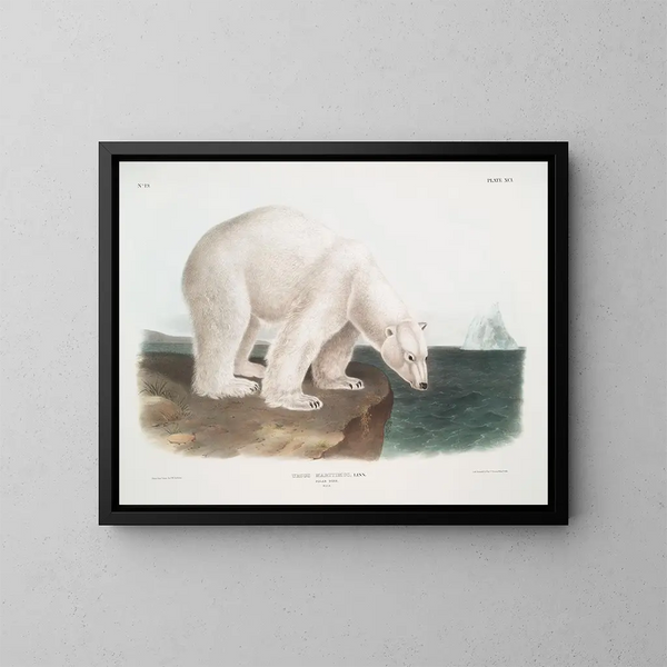 Beer Poolhond man - John Woodhouse Audubon — ingelijst kunstwerk aan de muur