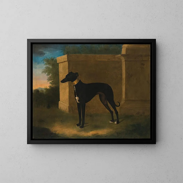 Portret van een windhond genaamd Pompon - John Wootton — ingelijst kunstwerk aan de muur