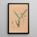Iconography of Brazilian orchids Painting Pl09 - João Barbosa Rodrigues — framed artwork on a wall