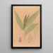Iconography of Brazilian orchids Pl20 - João Barbosa Rodrigues — framed artwork on a wall