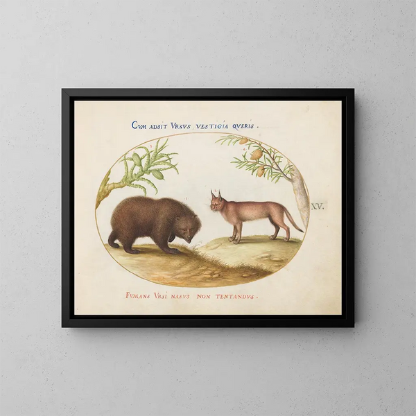Een beer en een lynx - Joris Hoefnagel — ingelijst kunstwerk aan de muur