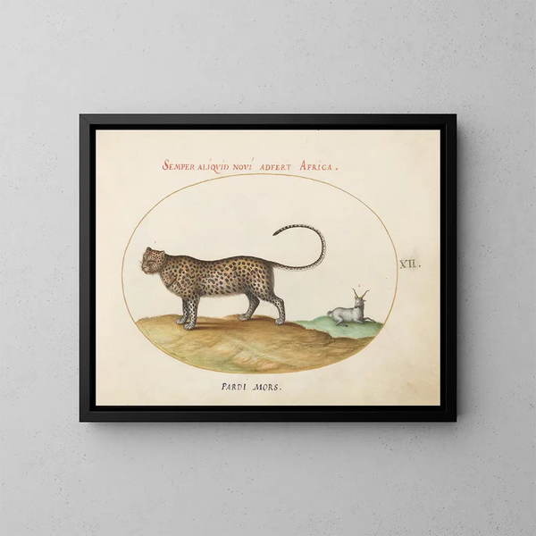 van een luipaard en een wild schaap - Joris Hoefnagel — ingelijst kunstwerk aan de muur