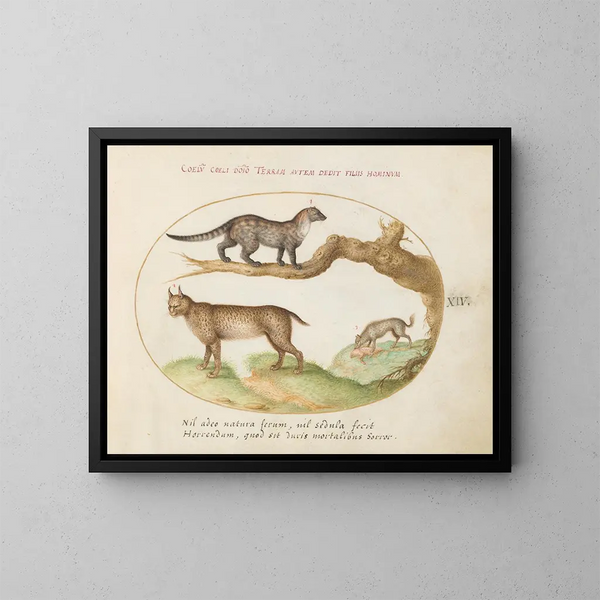van een civet, een lynx en een hyena die een hond eten - Joris Hoefnagel — ingelijst kunstwerk aan de muur
