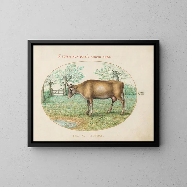 Een koe - Joris Hoefnagel — ingelijst kunstwerk aan de muur