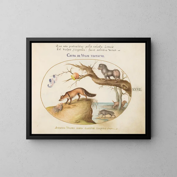van een vos gekruist, een hyena, een bavian, een zeearend en een glutton - Joris Hoefnagel — ingelijst kunstwerk aan de muur