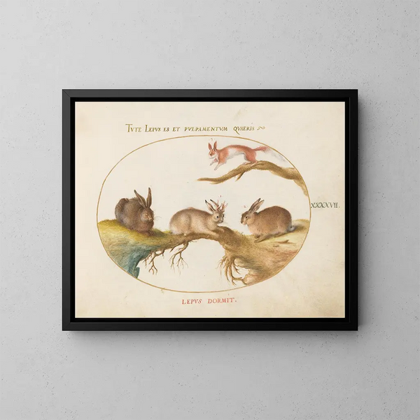 van een haas, een jackalope, een konijn en een gevlekte eekhoorn - Joris Hoefnagel — ingelijst kunstwerk aan de muur