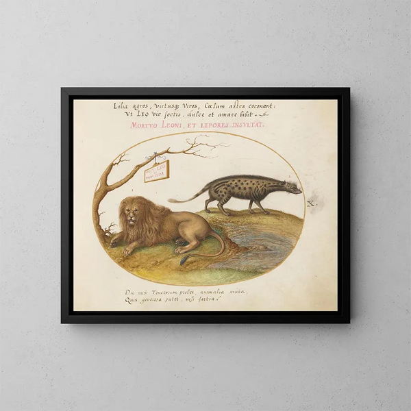 Een leeuw en een civet - Joris Hoefnagel — ingelijst kunstwerk aan de muur