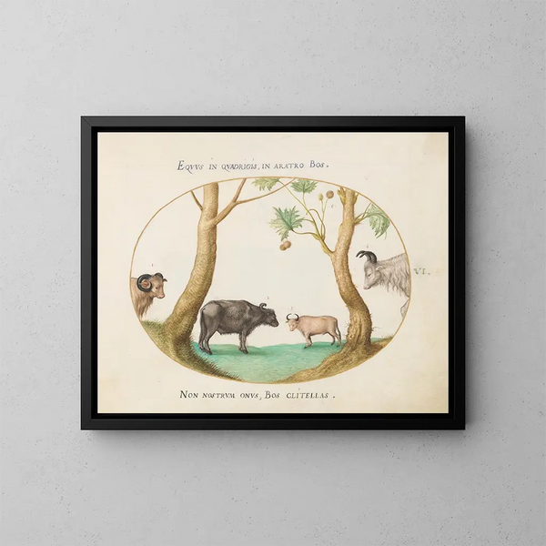 Een verscheidenheid aan runderen met een ram en een waterbuffel bij een plataanboom - Joris Hoefnagel — ingelijst kunstwerk aan de muur