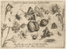 Archetypes en studies van vader Georgius Hoefnagel Pl28 - Joris Hoefnagel — weergave van het kunstwerk