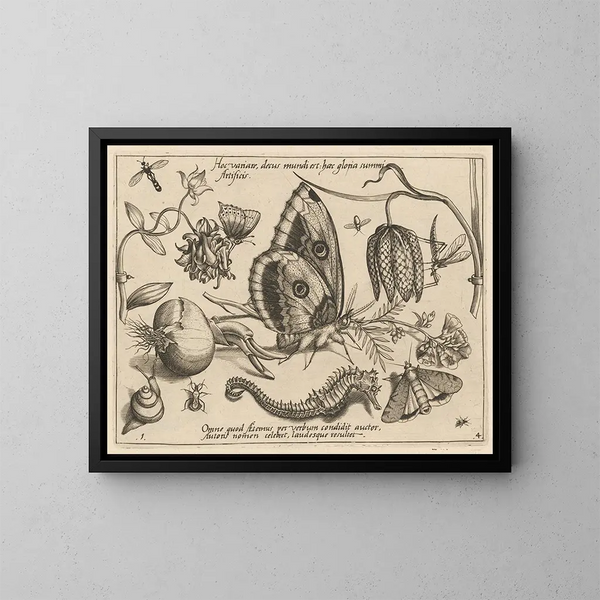 Archetypes en studies van vader Georgius Hoefnagel - Joris Hoefnagel — ingelijst kunstwerk aan de muur