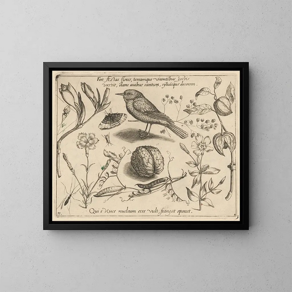 Archetypes en studies van vader Georgius Hoefnagel Pl41 - Joris Hoefnagel — ingelijst kunstwerk aan de muur