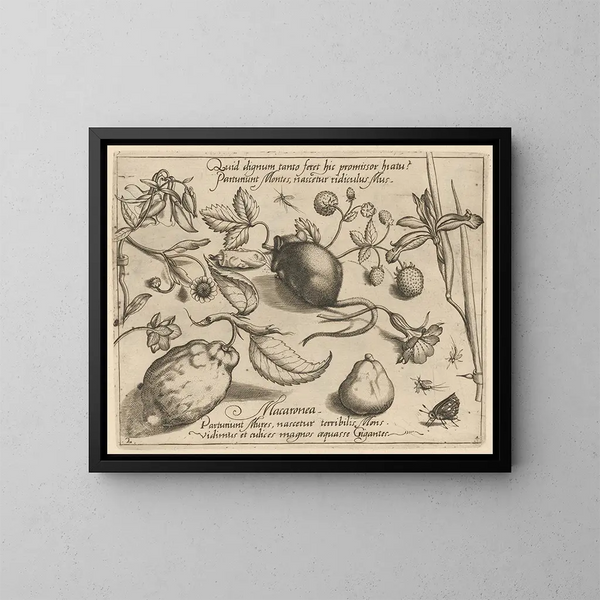 van Archétypes et études du père Georgius Hoefnagel Pl43 - Joris Hoefnagel — ingelijst kunstwerk aan de muur