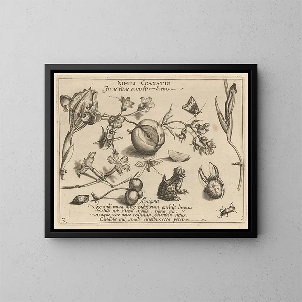 van Archétypes en studies van vader Georgius Hoefnagel - Joris Hoefnagel | Reproduction — ingelijst kunstwerk aan de muur
