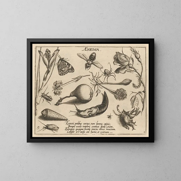Archetypes en studies van vader Georgius Hoefnagel Pl46 - Joris Hoefnagel — ingelijst kunstwerk aan de muur