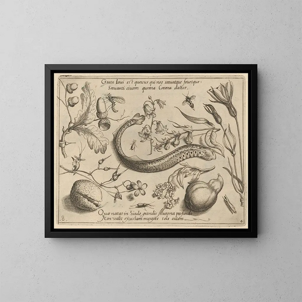 Archetypes en studies van vader Georgius Hoefnagel - Joris Hoefnagel — ingelijst kunstwerk aan de muur