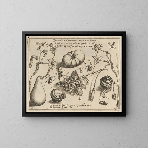 van Archétypes et études du père Georgius Hoefnagel - Joris Hoefnagel — ingelijst kunstwerk aan de muur