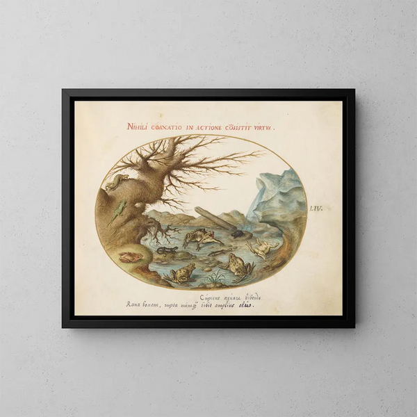 van Grenouilles, lézards et salamandres dans un paysage - Joris Hoefnagel — ingelijst kunstwerk aan de muur