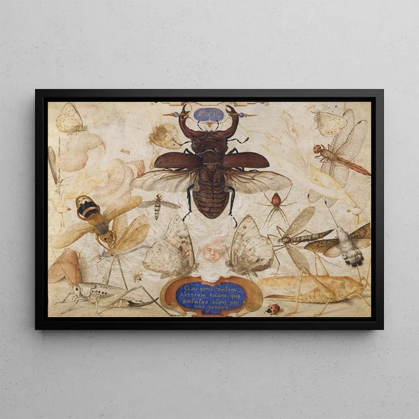 Joris Hoefnagel - Insects and the Head of a Wind God.webp