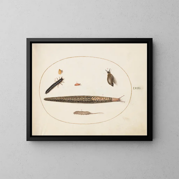Luipaardslang, aardscarabee, larve en maden met staart en andere wezens - Joris Hoefnagel — ingelijst kunstwerk aan de muur