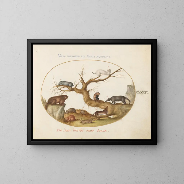Marmotte, hamsters, rat, veldmuis, mierenegel en een coati - Joris Hoefnagel — ingelijst kunstwerk aan de muur