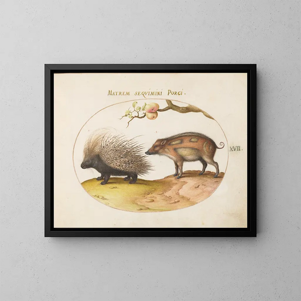 van het oude wereld egel en everzwijn - Joris Hoefnagel — ingelijst kunstwerk aan de muur