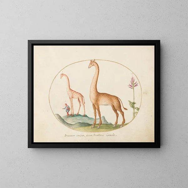 Planche 02 Twee giraffes met een begeleider - Joris Hoefnagel — ingelijst kunstwerk aan de muur