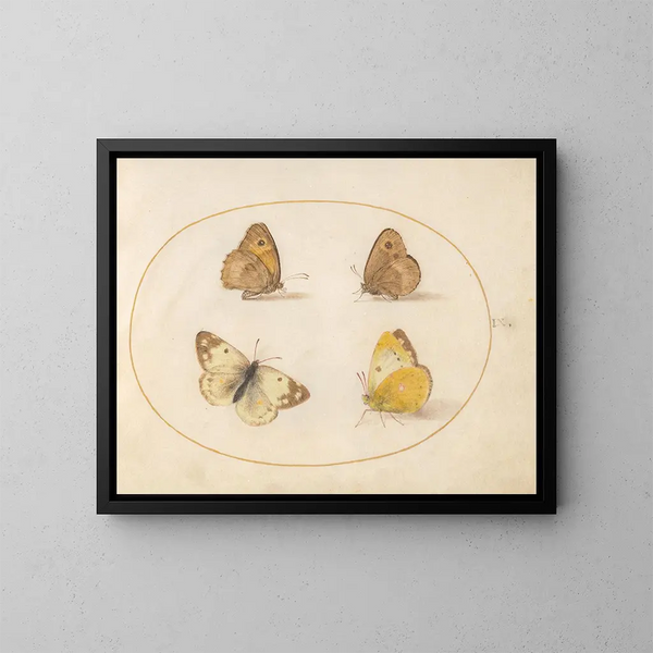 Plaque 09 Papillons Meadow Brown, Gatekeeper, Clouded Yellow en Bath White - Joris Hoefnagel — ingelijst kunstwerk aan de muur