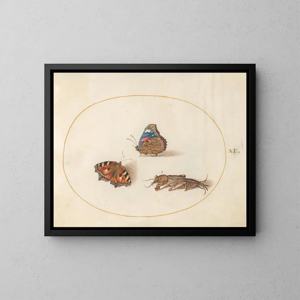 Planche 11 van vlinders kleine schildpad en rode admiraal met een bruin gekko - Joris Hoefnagel — ingelijst kunstwerk aan de muur