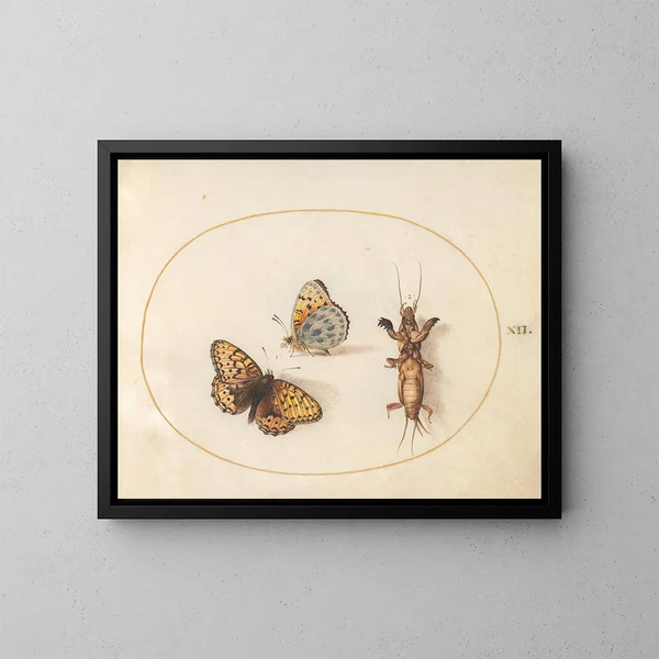 Platine 12 Twee afbeeldingen van een fritillaria met een zilveren rand en een taupe krekel - Joris Hoefnagel — ingelijst kunstwerk aan de muur
