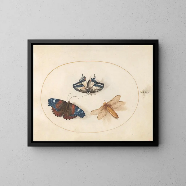 Plaque 13: Gele zwaluwstaartvlinders en rode admiraal met een jufferjager met een breed lichaam - Joris Hoefnagel — ingelijst kunstwerk aan de muur