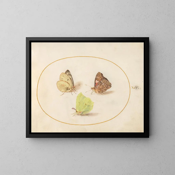 Planche 14: Citroenvlinders, geschilderde dame en geel gelaagd - Joris Hoefnagel — ingelijst kunstwerk aan de muur