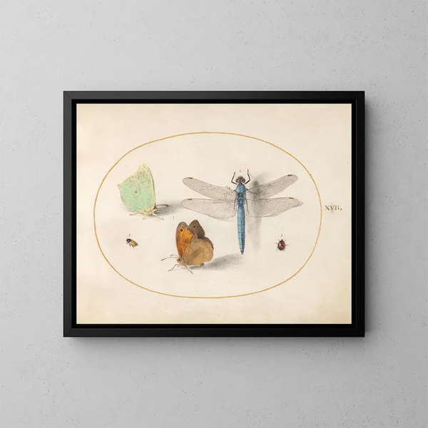 Planche 17: Zwavel- en weidevlinders, een blauwe jager en twee kleine insecten - Joris Hoefnagel — ingelijst kunstwerk aan de muur